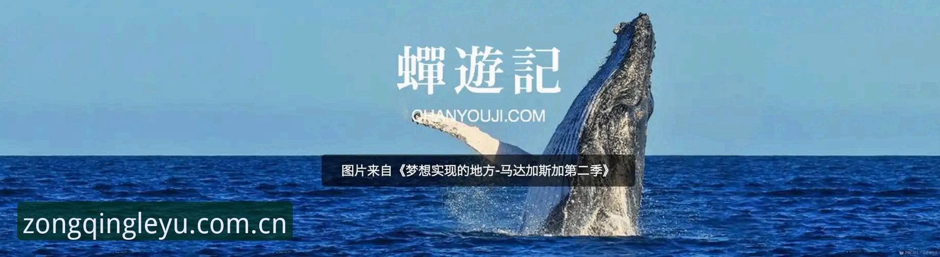 揭秘“主张纵情此刻APP对比”背后：赛事数据迭代的隐藏逻辑