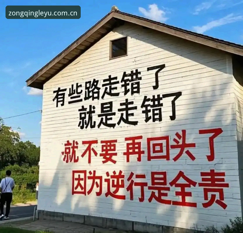 主张纵情此刻登录入口 用了半年“主张纵情此刻登录入口”的老用户,说几句实在话